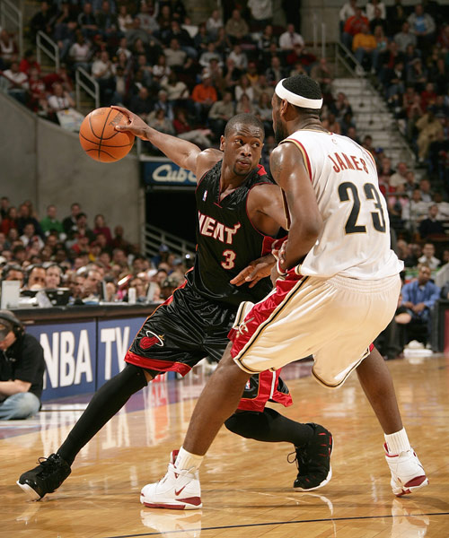 肌肉纤维类 肌肉纤维类